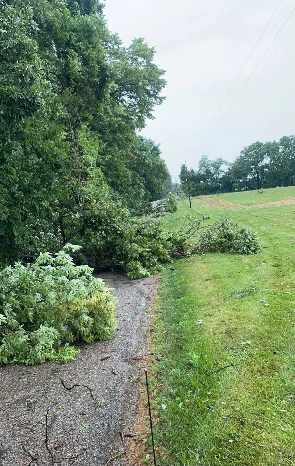 Storm cleanup by Bradley's Landworks